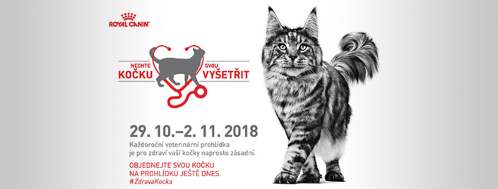 Nechte svou kočku vyšetřit